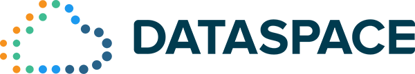 dataspace logo