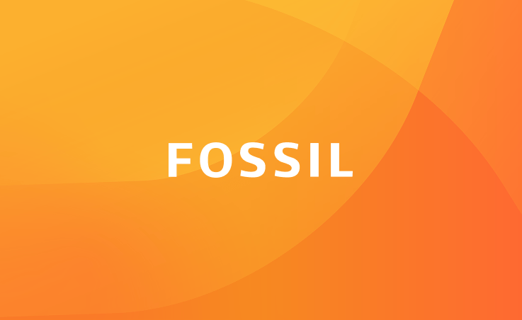 Fossil - case study - content image